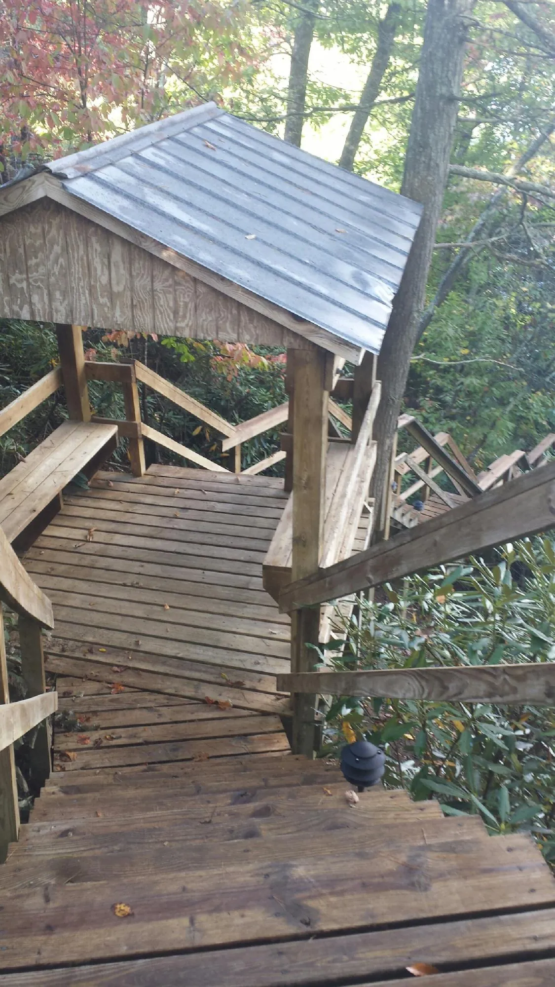 Metal roofed shelter over wooden steps on a wooded walkway — Skylight Repair & Installation work by our crew in Stokes